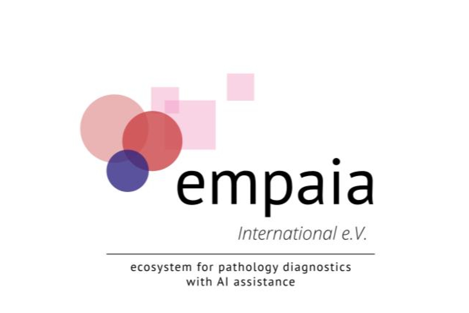 EMPAIA sponsor