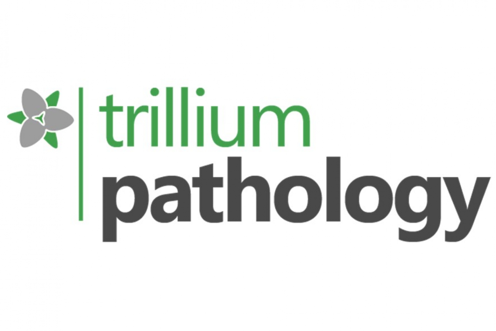Trillium  sponsor